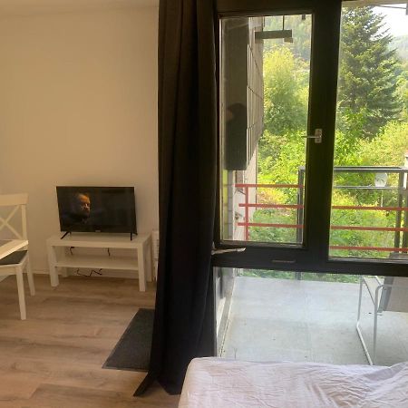 Kleines Einzimmer-Apartment 14 Bad Wildbad Exterior foto