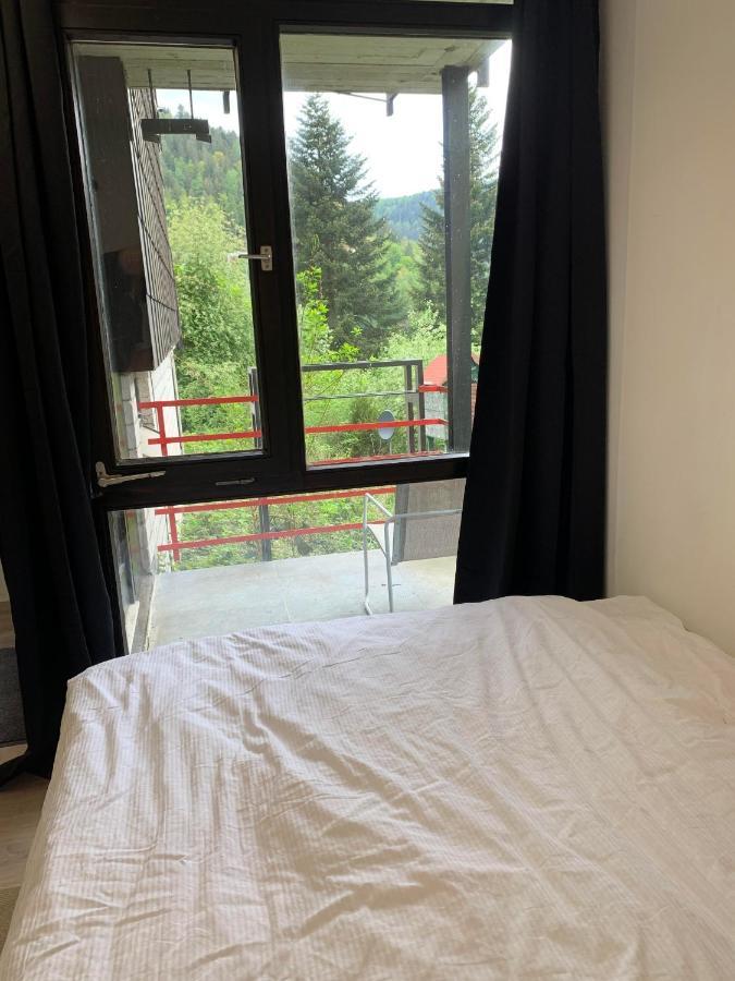 Kleines Einzimmer-Apartment 14 Bad Wildbad Exterior foto