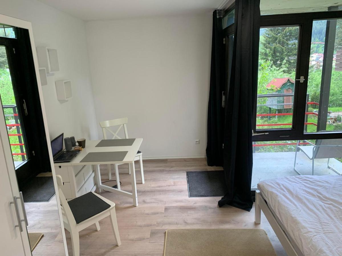Kleines Einzimmer-Apartment 14 Bad Wildbad Exterior foto